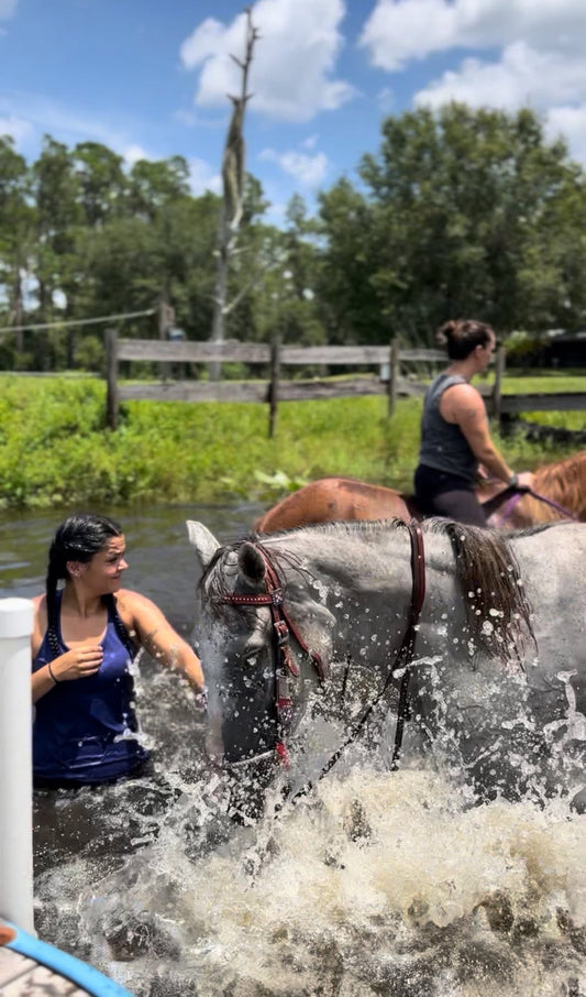 Horses, Veterans, and Overcoming Obstacles
